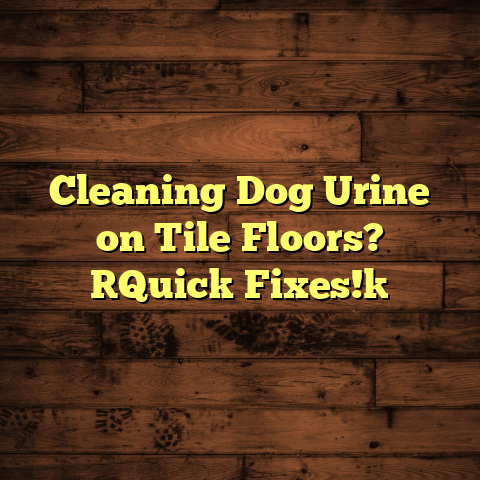 Cleaning Dog Urine on Tile Floors? [Quick Fixes!]