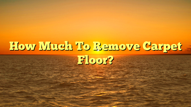 "How Much Does Carpet Removal Cost? [Quick Guide]"