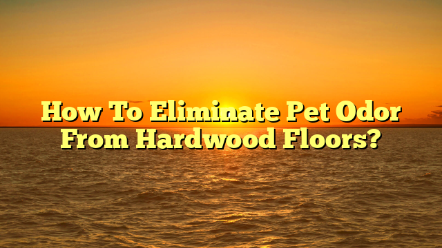 How to Eliminate Pet Odor From Hardwood Floors? [Quick Fix!]