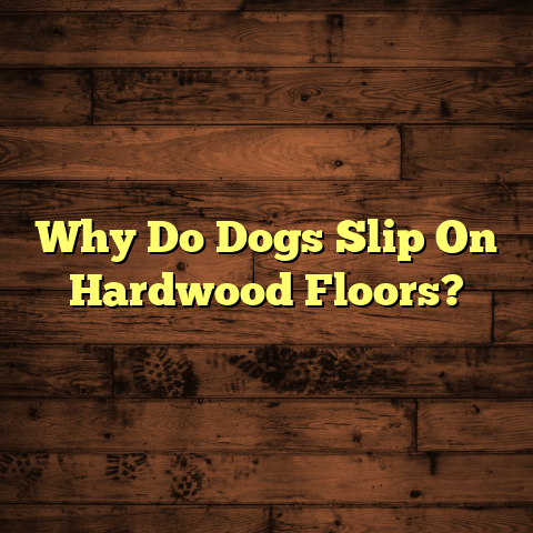 Why Do Dogs Slip on Hardwood? [Must-Know Fix]