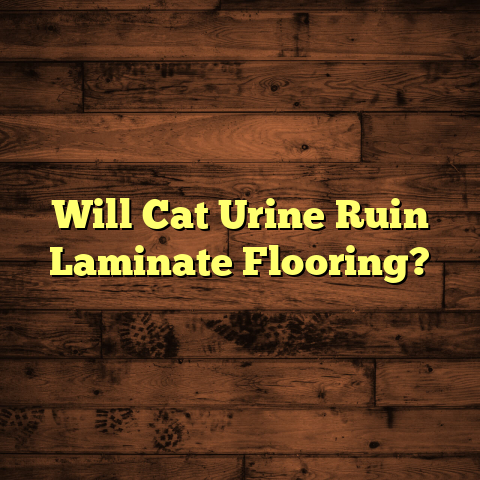 Cat Urine & Laminate: Will It Ruin Yours? [Must Know Now]